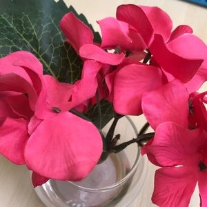 Meet your Posher, Omaira